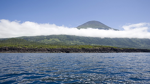 © Franco Banfi © Franco Banfi