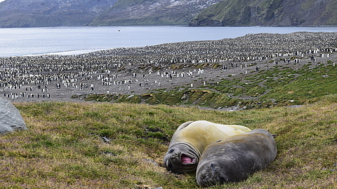 © Kamillo Weiss © Kamillo Weiss