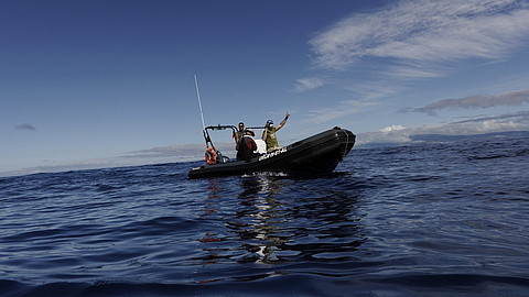 © Robert Wilpernig © Robert Wilpernig