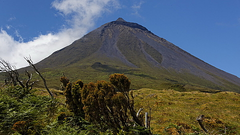 © Robert Wilpernig © Robert Wilpernig