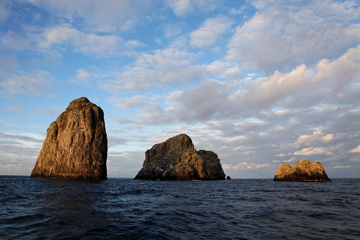 Malpelo Malpelo