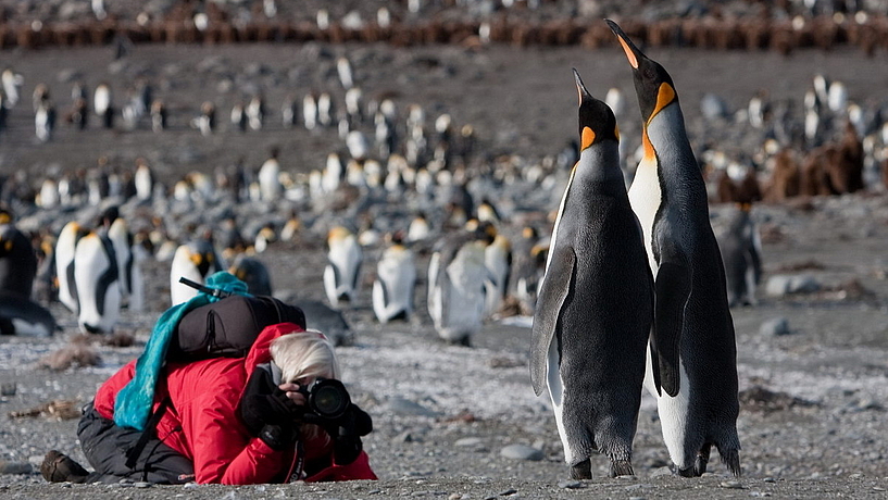 © Jan Veen © Jan Veen