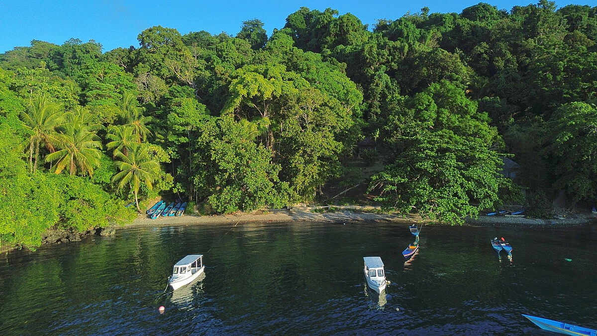 Ambon Dive Resort Ambon Dive Resort