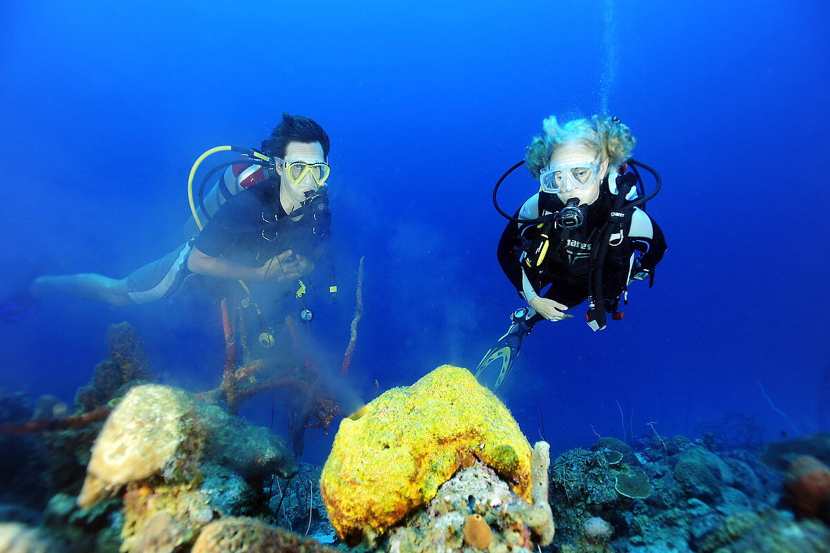 Tauchen mit Go West Diving Tauchen mit Go West Diving