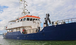 MV Ferox, Malpelo
