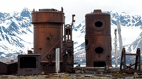 © Erwin Vermeulen © Erwin Vermeulen