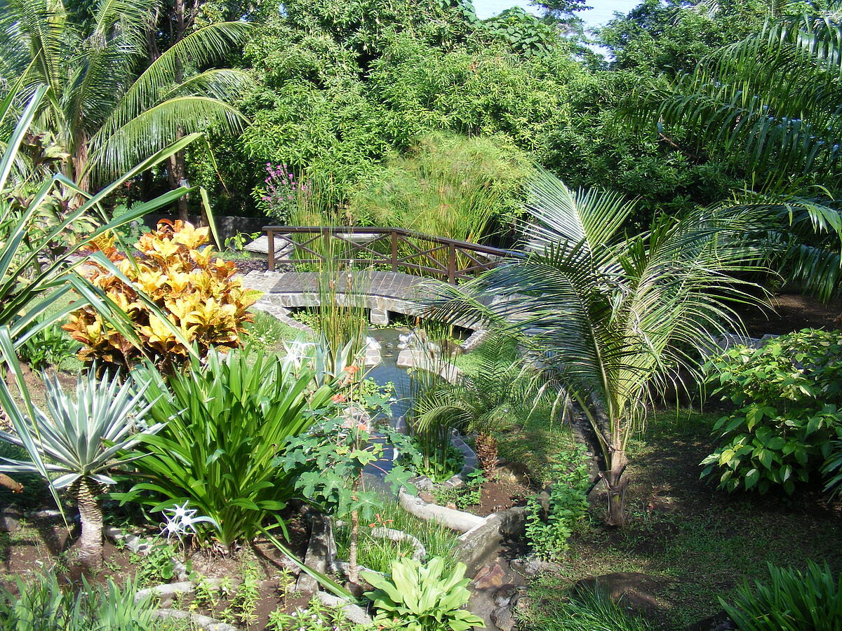 Garten Garten