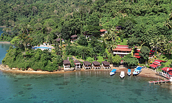 Bastianos Froggies Lembeh Tauchresort