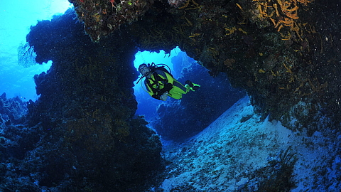 © Robert Wilpernig © Robert Wilpernig