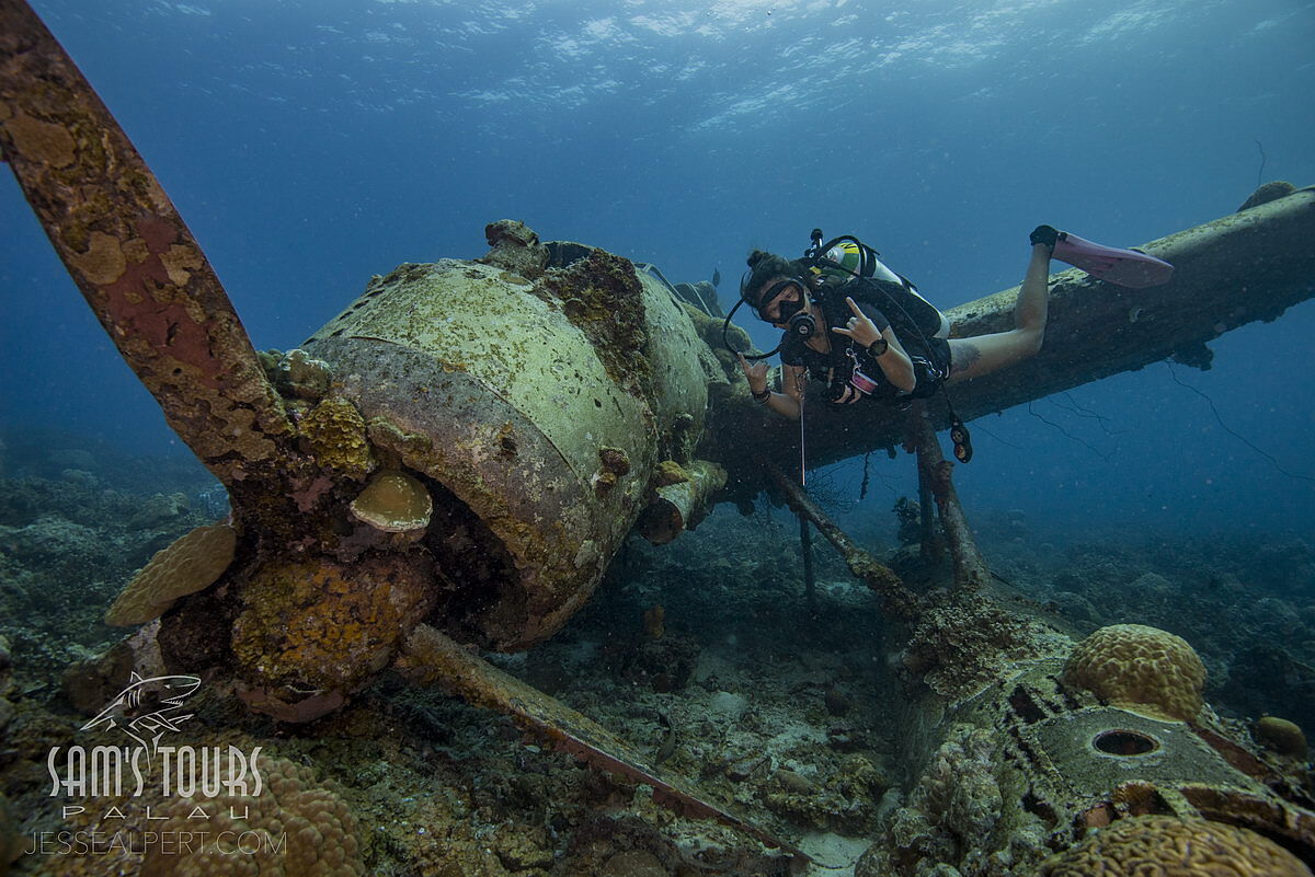 Jake Flugzeugwrack, © Sam's Tours/Jesse Alpert Jake Flugzeugwrack