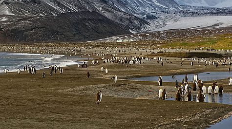 Subantarktische Inseln