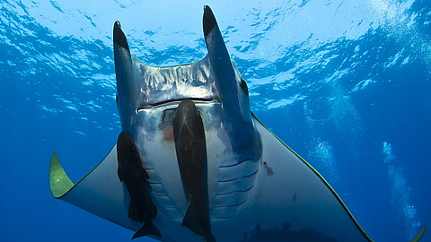 © Michael Weberberger © Michael Weberberger