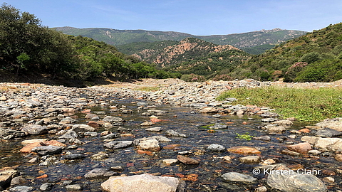Fluss Fluss