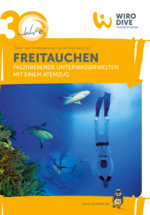 Freitauchen