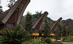 Rundreise Toraja, Südsulawesi