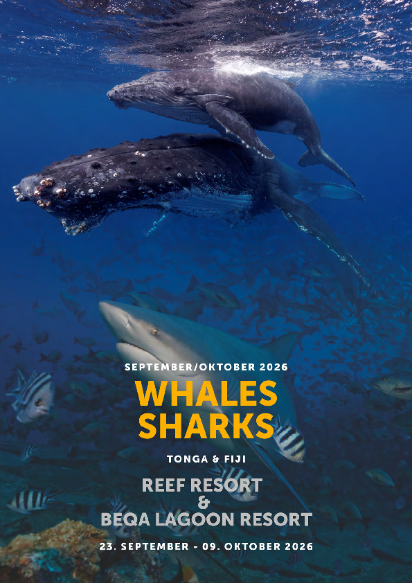 Ausschreibung für diese Reise (PDF)