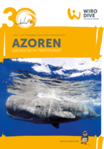 Azoren