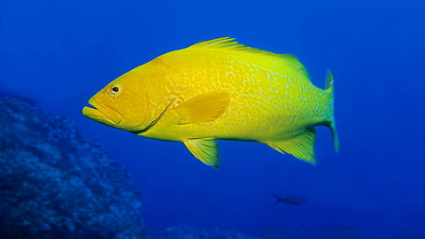 © Robert Wilpernig © Robert Wilpernig