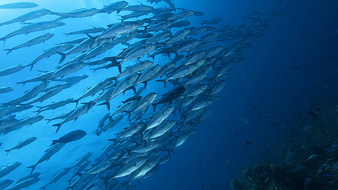 © Robert Wilpernig © Robert Wilpernig