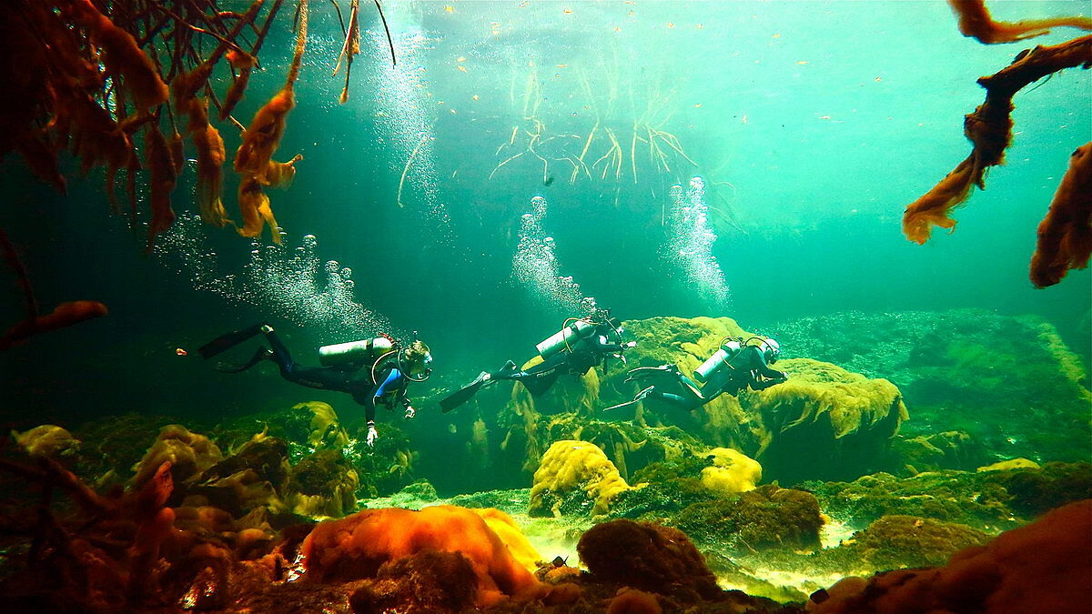 Casa Cenote