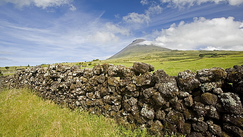 © Franco Banfi © Franco Banfi