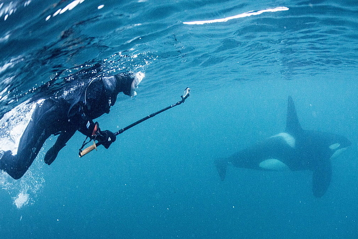 © Goran Ehlme © Goran Ehlme