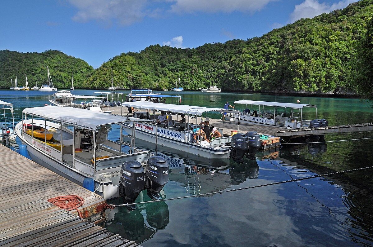 Sam's Dive Tours © Judith Hoppe Sam's Dive Tours