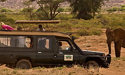 Safaris in Kenia