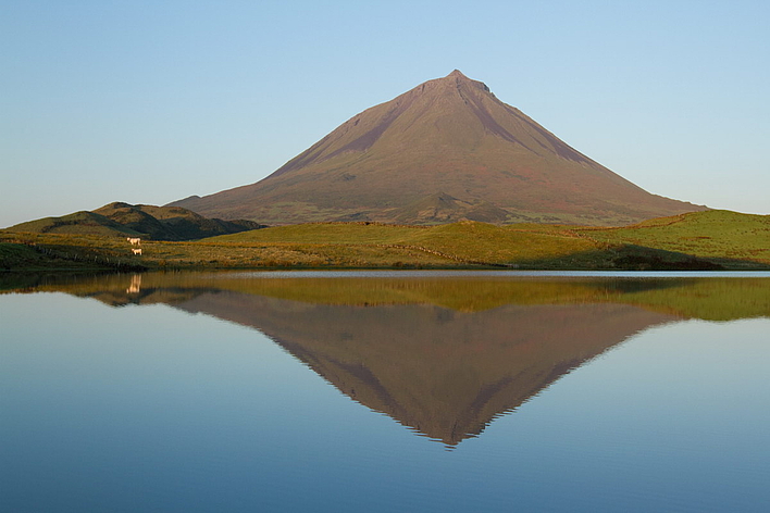 Pico Pico