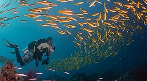 Triton Bay & Raja Ampat Tauchsafari