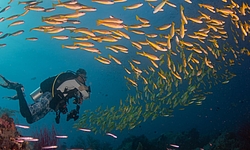 Raja Ampat, © Amit Liber Raja Ampat