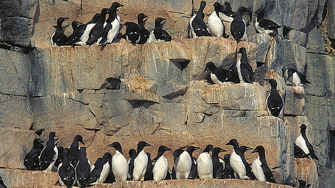 © Rinie van Meurs © Rinie van Meurs