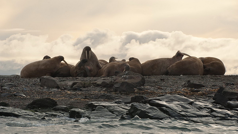 © Erwin Vermeulen © Erwin Vermeulen