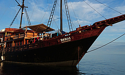 Damai I, Indonesien