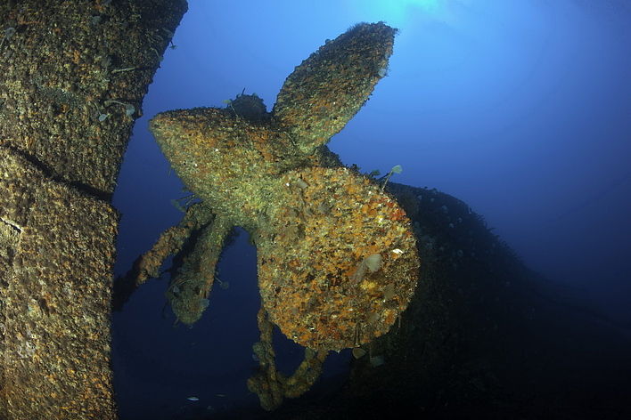 Wrack, © Franco Banfi Wrack