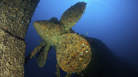 © Franco Banfi © Franco Banfi