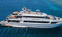 Sea Serpent Serena Dreams Sea Serpent Serena Dreams